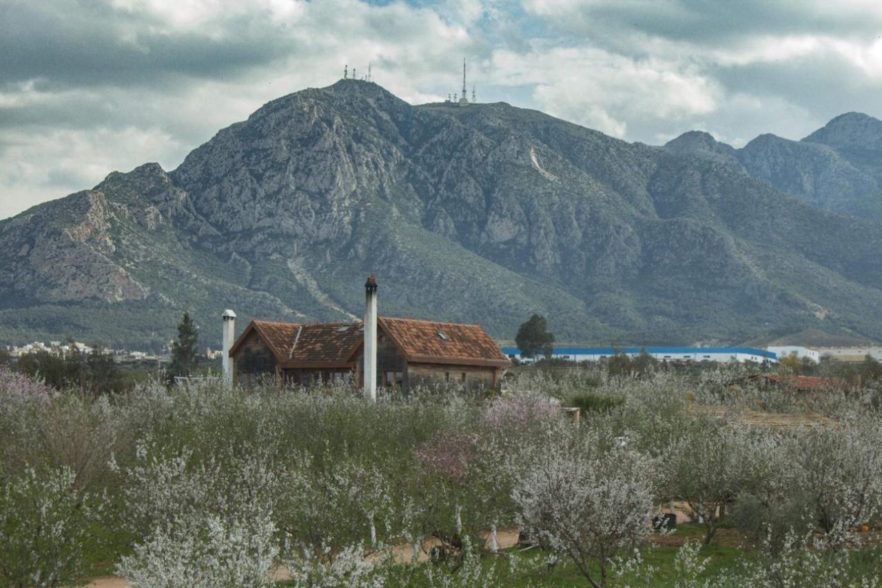 Dar Zaghouan Hotel Kültér fotó